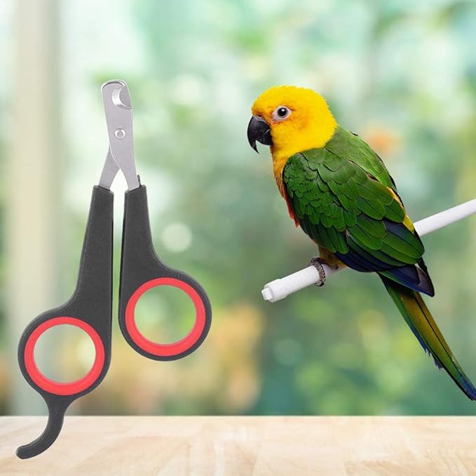 AYNEFY Bird Nail Clipper, Stainless Steel Bird Nail Trimmer Parrot Nail Scissors Pet Bird Nail Grooming Tool for Dogs Cat Rabbits and Birds