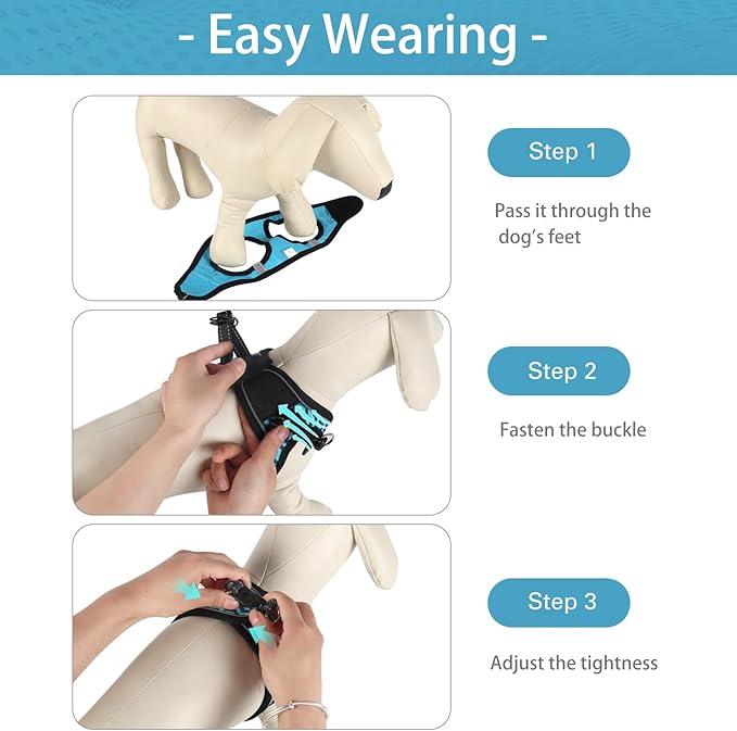 Dog Harness for Small Dogs, Small Dog Harness and Leash Set, Honeycomb Grid, Reflective Lightweight Harness & Anti-Twist Pet Lead,Dog Harness(Multi Color, Size: XS-S-M) (S, Blue)