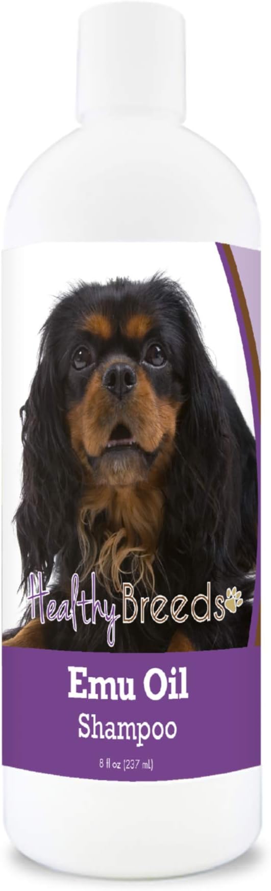 Healthy Breeds English Toy Spaniel Emu Oil Shampoo - Gentle Cleanser That Provides Soothing Relief of Inflammation While Restoring Moisture Balance - Fruity Scent - 8 oz