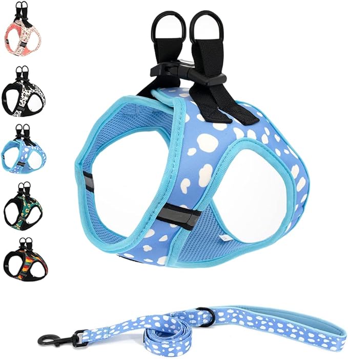 Step in Dog Harness and Leash Set, Reflective Dog Harness and Leash No Pull Dog Harness for Small Medium Large Dogs and Cats, BlueCloud