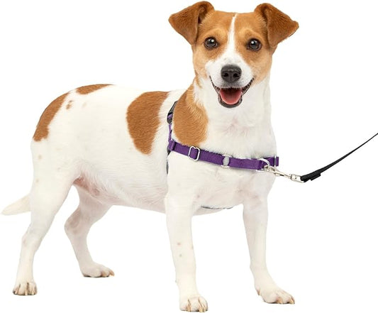 PetSafe Easy Walk No-Pull Dog Harness - The Ultimate Harness to Help Stop Pulling - Take Control & Teach Better Leash Manners - Helps Prevent Pets Pulling on Walks, Small, Deep Purple/Black