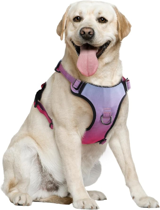 QQPETS No Pull Dog Harness with 2 Leash Clips，Adjustable Soft Padded Dog Vest, Reflective Outdoor Pet Oxford Vest with Easy Control Handle for Small to Large Dogs Walking Training