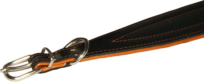 Real Leather Extra Wide Padded Tapered Dog Collar Glossy Black Greyhound Saluki Deerhound Lurcher Whippet Dachshund (10"-11.25" Neck; 2" Wide, Toffee)