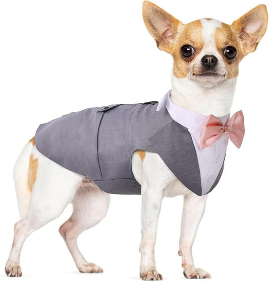 PUMYPOREITY Medium Dog Bowtie Tuxedo Suit, Dog Wedding Outfit, Cat Tuxedo, Dog Tuxedo and Bandana Set for Chihuahua, Boston Terrier, Bichon, Corgi, Pomeranian, 2 Pieces/Pack, M, Grey