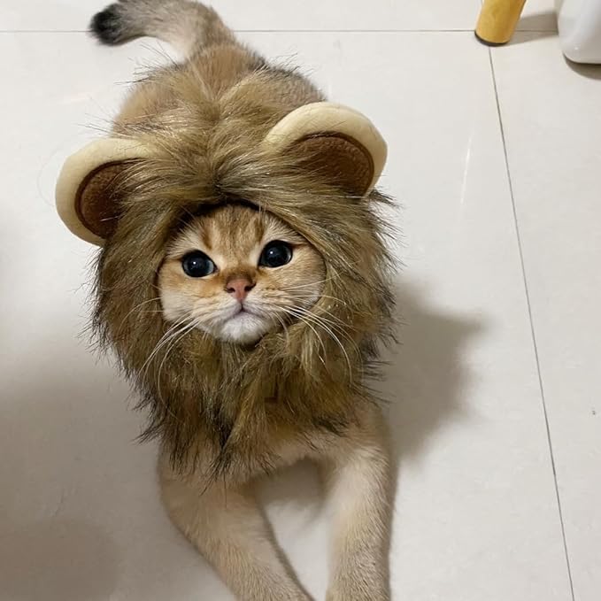 NAMSAN Lion Mane for Cat Small Dog Halloween Costume Cat Lion Mane Wig Lion King Hat Cosplay Kitten Outfit for Halloween Easter Holiday Party Activity