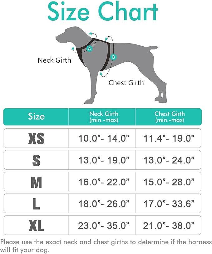 rabbitgoo Dog Harness, No-Pull Pet Harness with 2 Leash Clips, Adjustable Soft Padded Dog Vest, Reflective No-Choke Pet Oxford Vest with Easy Control Handle for Small Dogs, Turquoise, S