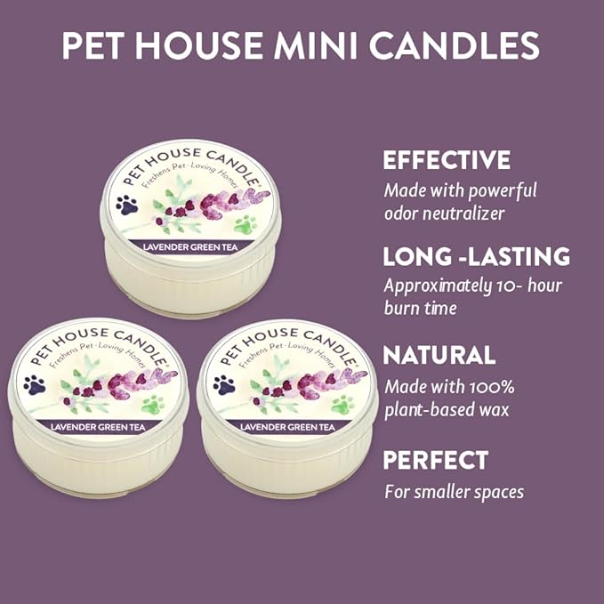 Pet House Mini Candles for Pet Odor, Plant Based, Dog and Cat Friendly Scented Candles, Lavender Green Tea Pack of 3