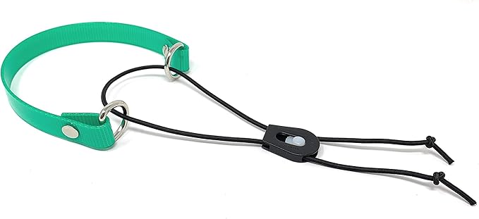 Sparky Pet Co - ECollar Replacement Strap - Bungee Dog Collar - Waterproof - Adjustable - Secure Nexus Wheel Lock - for Electronic Training & Invisible Fence Systems - 1" (Green)