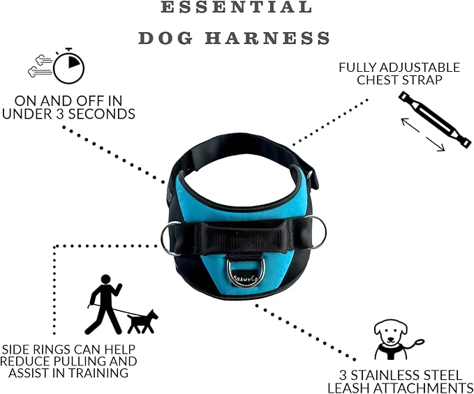 ShawnCo Essential Dog Harness, No-Pull Pet Vest with 3 Leash Clips, No Choke, Reflective, Adjustable and Padded, for Easy Walking and Training for Small, Medium and Large Dogs (Electric Blue,XL)