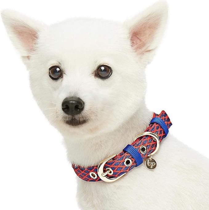 Blueberry Pet 2 Patterns Diamond Pattern Adjustable Neoprene Padded Dog Collar with Metal Buckle - True Red, Neck 17-20.5", for Large Breed