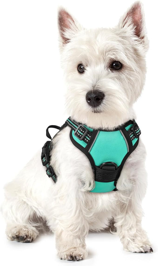 rabbitgoo Dog Harness, No-Pull Pet Harness with 2 Leash Clips, Adjustable Soft Padded Dog Vest, Reflective No-Choke Pet Oxford Vest with Easy Control Handle for Small Dogs, Turquoise, XS