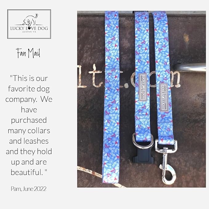 Lucky Love Dog Winter Themed Martingale Collar, Premium No Slip Collar, Snowflake Christmas Martingale Collar for Large Dogs - (Winterblue No Slip, L)