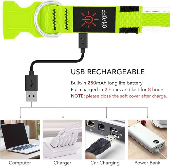 BSEEN Light Up Dog Collar - Rechargeable LED Dog Collar, Reflective Dog Collar, Adjustable Dog Glow Collar, Glowing Dog Lights for Large Dogs (Neon Green, Large)