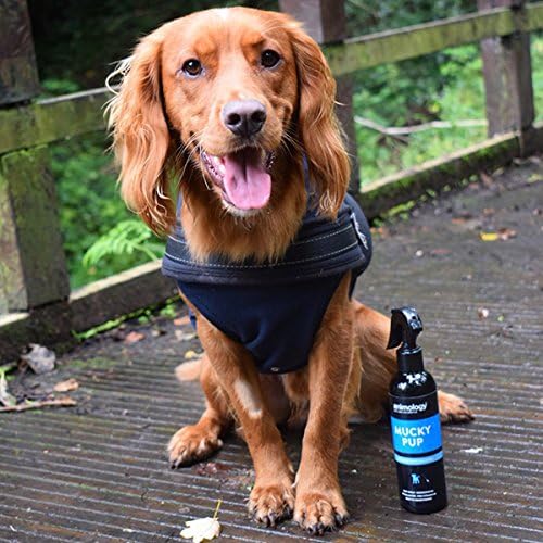 Mucky Pup No Rinse Puppy Shampoo (250ml Spray)