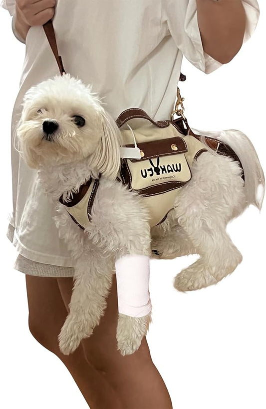 Dog Lift Harness Dog Carrier Dog VES Harness Adjustable Dog Leash with Small Puppy Treat Bag,Fits Most Cars,M