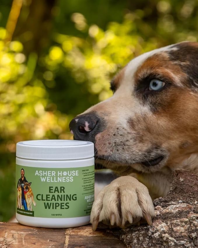 ASHER HOUSE WELLNESS Pet Ear Cleaning Wipes - Dog & Cat Plant-Based Ears Cleaner, Remove Wax & Dirt, Relieve Itch, Prevent Odor & Infection - Gentle for Pets Dogs Cats Over 12 Weeks, Made in USA