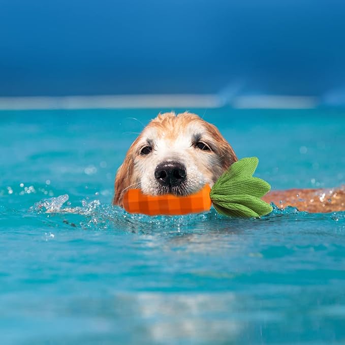 MewaJump Interactive Dog Toys, Durable Dog Chew Toy for Aggressive Chewers Rubber Pet Toy Dog Dental Chew for Small, Medium Breed