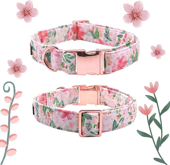 Lionet Paws Dog Collar, Comfortable Adjustable Cute Collar with Metal Buckle for Male Female Dogs Gift, Pink Flower, Small, Neck 10-16 inches
