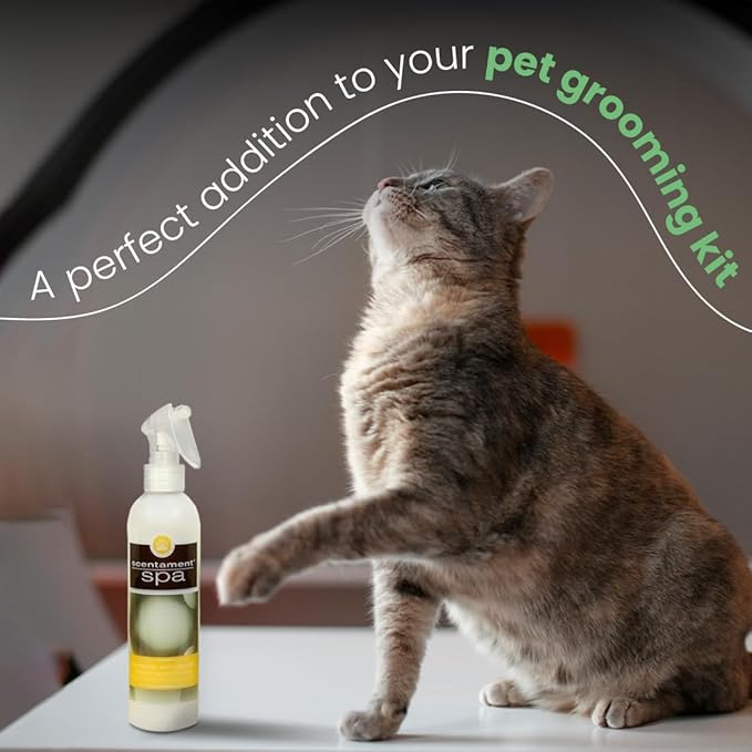 Best Shot Scentament Spa Botanical Body Splash, Detangler Spray, Body Spray for Pets, Cat and Dog Cologne Spray, Lemon Vanilla, 8 Oz.