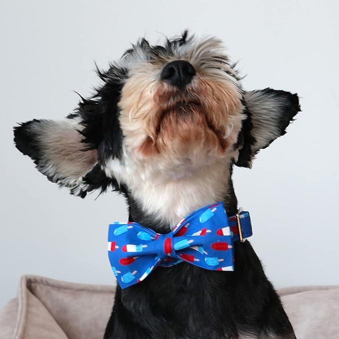 Lionet Paws Patriotic Dog Collar with Bowtie, 4th of July, Soft and Comfortable Adjustable Summer Popsicle Bowtie Collar for Large Dogs Male Female Gift, Neck 16-24 inches