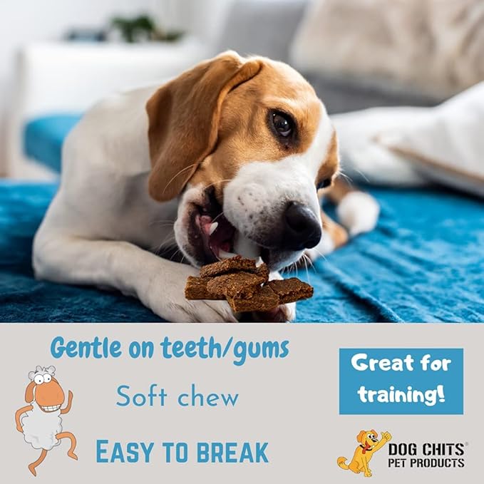 Dog Chits Lamb and Flaxseed Soft Chew for Dogs - Dog and Puppy Chews | Made in USA | USA Lamb | All Natural Treats | Large and Small Dogs | Rich in Omega 3 and 6 Flaxseeds | 4 oz.