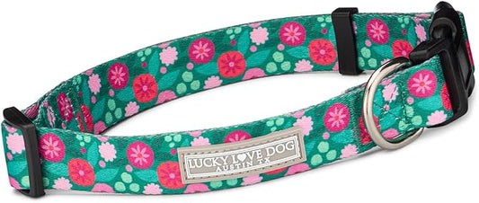 Lucky Love Dog Collar, Stripes Pattern Dog Collar for Tiny Dogs, Comfortable & Soft Dog Collars, Penny, XS…