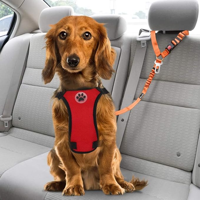 SlowTon Dog Seat Belt for Car, 2 Pack Dog Car Harness Seatbelt Adjustable with Elastic Bungee Buffer, 2 in 1 Pet Car Leash Headrest Restraint Dog Reflective Safety Tether (Orange, Headrest+Clip)