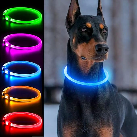 Light Up Dog Collars, Single-Color USB Rechargeable Dlitk LED Dog Collar 1 Count, TPU Cuttable Size Glow Collar for Dogs, Dog Collar Light, Please Do Not Use Fast Charging (Blue)