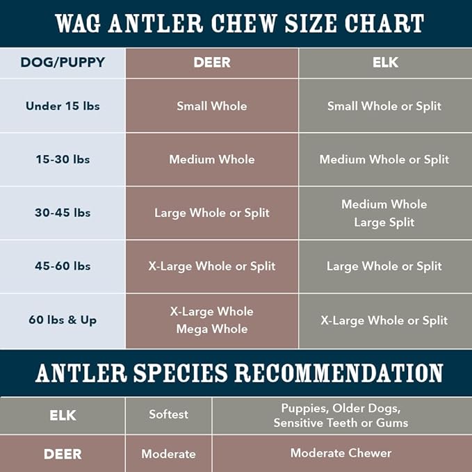 Amazon Brand – Wag Dog Deer Antler Chew, Naturally Shed. Whole, Small (Best for Dogs under 15 lbs) 4–5.5 inches