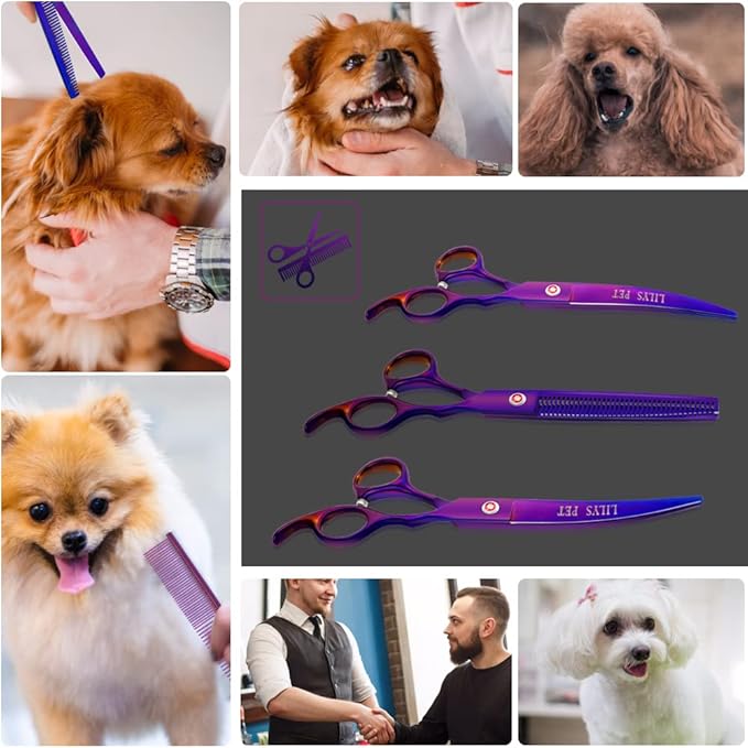 LILYS PET Professional PET DOG Grooming Coated Titanium scissors suit Cutting&Curved&Thinning shears (7.5 inches, Purple)…