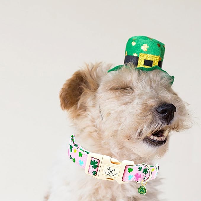 Elegant little tail St Patrick's Day Dog Collar-Lucky Colver Cotton Shamrock Pet Collar Trefoil Holiday Adjustable Cotton Pet Collar with Quick Release Buckle for Small Medium Large Dogs