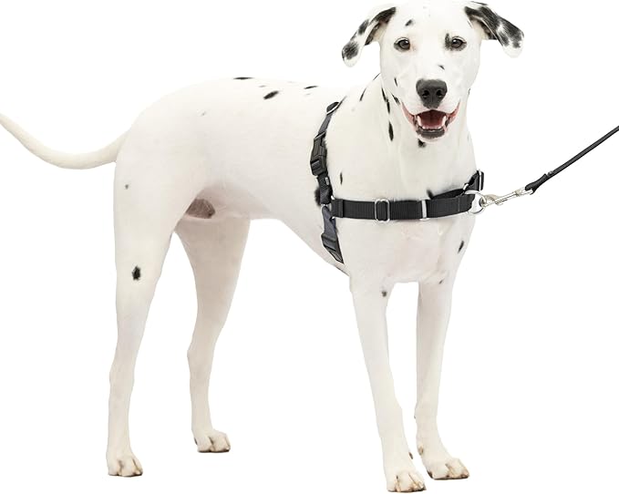 PetSafe Easy Walk No-Pull Dog Harness - The Ultimate Harness to Help Stop Pulling - Take Control & Teach Better Leash Manners - Helps Prevent Pets Pulling on Walks, Medium/Large, Charcoal/Black