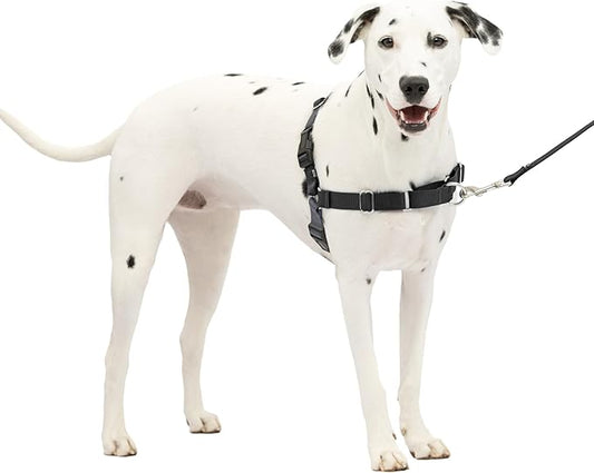 PetSafe Easy Walk No-Pull Dog Harness - The Ultimate Harness to Help Stop Pulling - Take Control & Teach Better Leash Manners - Helps Prevent Pets Pulling on Walks, Medium/Large, Charcoal/Black