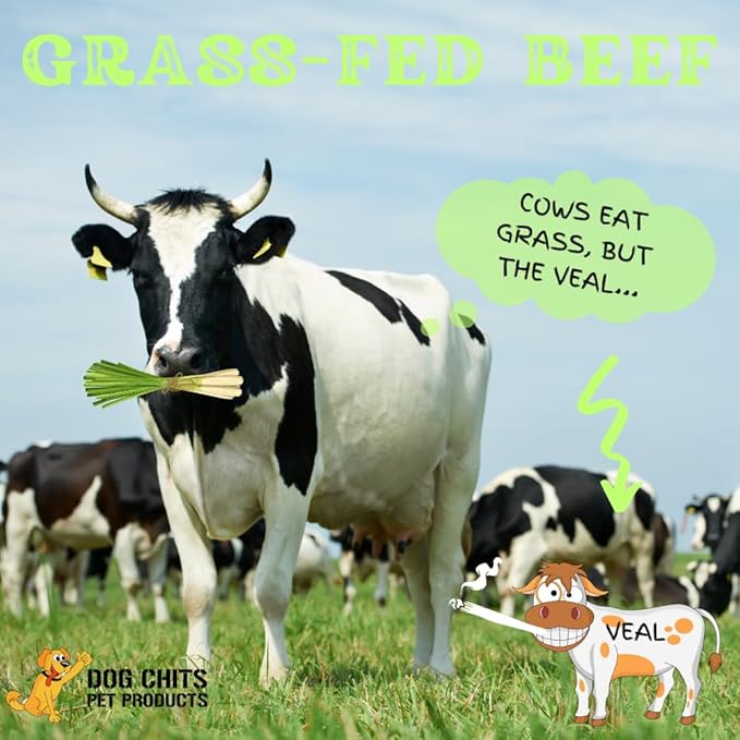 Dog Chits Cow Ears for Dogs | Extra Large | Thick Cut | Whole Ears | Dog and Puppy Chews | USDA | All Natural | Long Lasting Chews | 10 Count