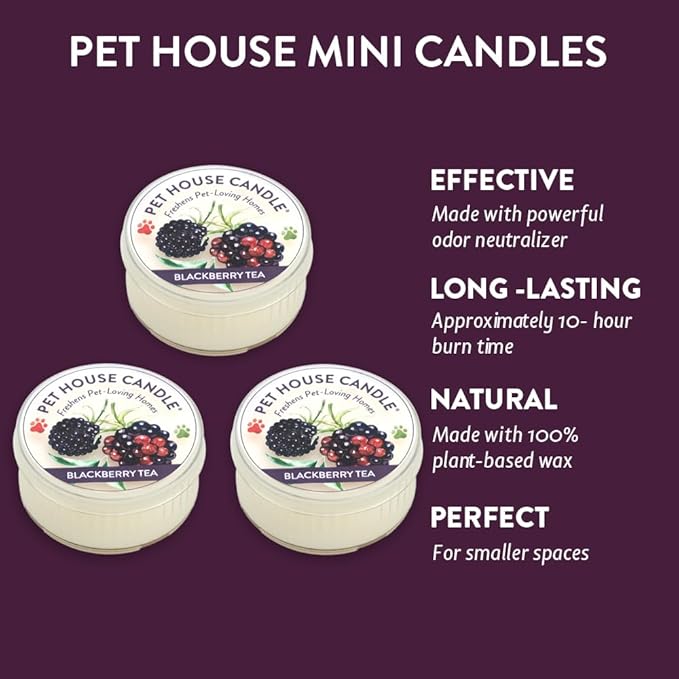 One Fur All Pet House Mini Candle - BlackBerry Tea 3 Pack - Odor Eliminator - Natural Wax - Pet-Friendly Non-Toxic Scented Candle Set