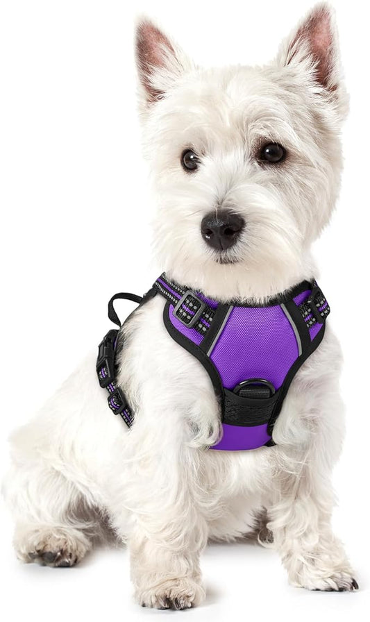 rabbitgoo Dog Harness, No-Pull Pet Harness with 2 Leash Clips, Adjustable Soft Padded Dog Vest, Reflective No-Choke Pet Oxford Vest with Easy Control Handle for Small Dogs, Purple,XS