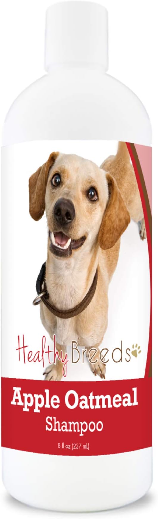 Healthy Breeds Chiweenie Apple Oatmeal Dog Shampoo - All Natural, Tearless & Hypoallergenic Cleanser & Conditioner - Best for Dry, Itchy or Irritated Skin - 8 oz