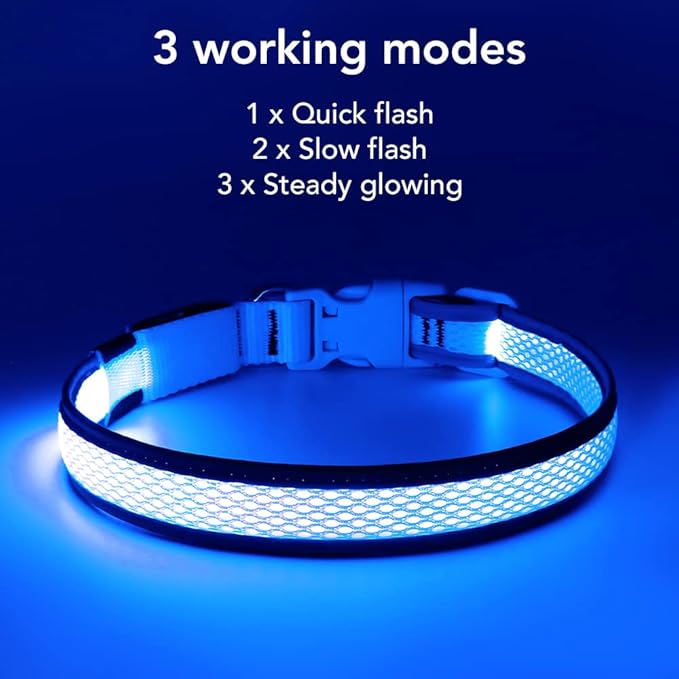 BSEEN Light Up Dog Collars - Reflective LED Dog Collar, Rechargeable Puppy Collar for Small Dogs, Glow in The Dark Dog Camping Gear, Flashing Dog Lights for Night Walking (Small, Blue)