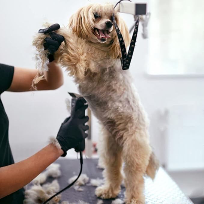 5PCS Dog Grooming Blades Compatible with Andis/Oster A5/Wahl KM Series Dog Clipper Blades Size:#10+30+40+5FC+7FC