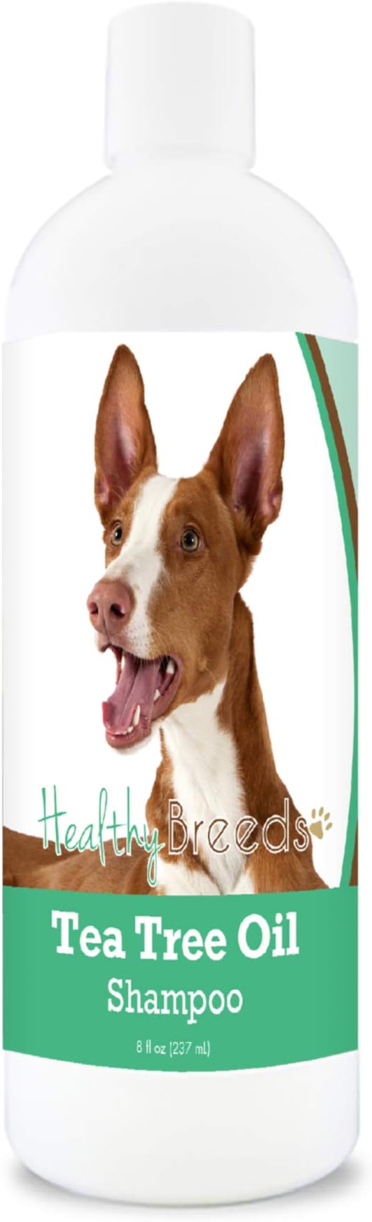 Healthy Breeds Ibizan Hound Tea Tree Oil Shampoo – Formulated for Dry, Irritated Skin – Reduce Dandruff – Wintergreen Scent – 8 oz