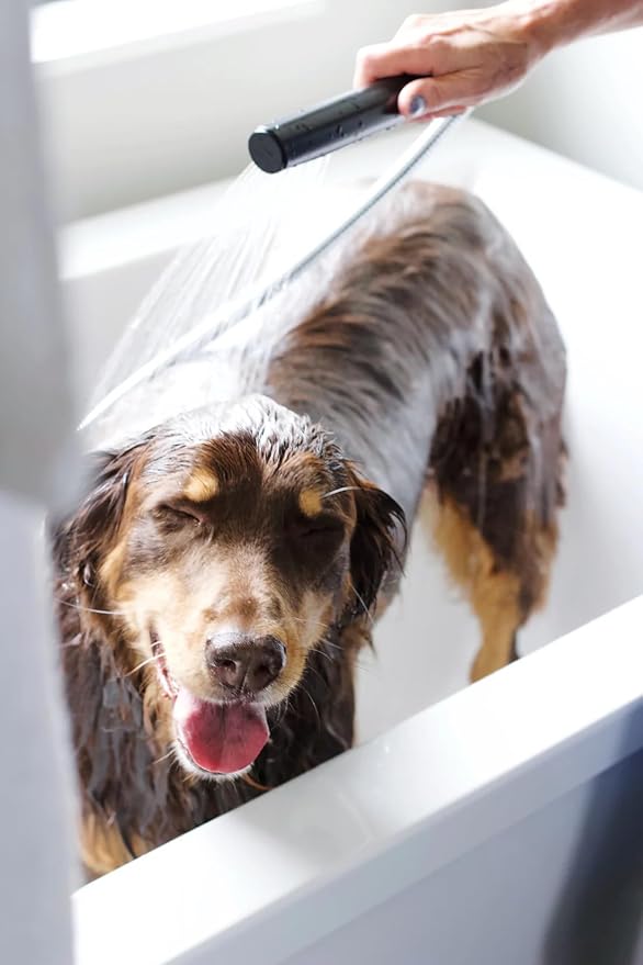 Scent Free Shampoo and Conditioner Set, Formulated for All Pets, Gentle and Cleansing, Made in The USA, Cruelty Free, 16 fl oz