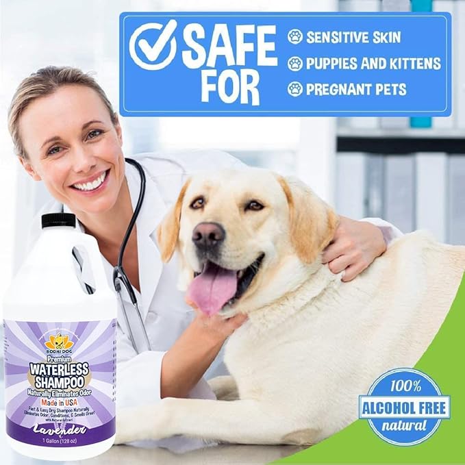 Bodhi Dog Waterless Shampoo - Natural Dry Shampoo for Dogs & Cats - Neutralizes Pet Odor - No Rinse Required - Made of Natural Extracts - Safe for Sensitive Skin - Made in USA - Lavender (1 Gallon)