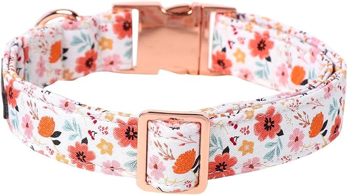 Lionet Paws Dog Collar, Adjustable Cute Collar with Metal Buckle for Male Female Puppies Gift,Summer Flower, Large, Neck 16-24 inches