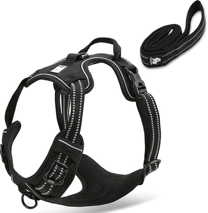 Reflective Nylon No-Pull Dog Harness and Training Leash Set Padded Durable Adjustable(M, Black Set)