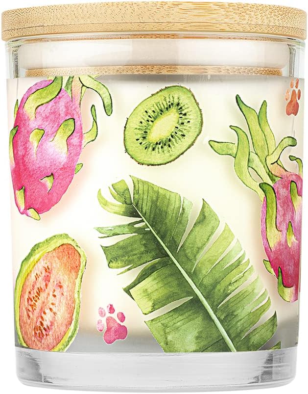 Pet House 9 oz Tropical Fruit Scented Pet Odor Candle, Clean Burning, Long Lasting, Plant Based Spring, Summer Scented Soy Candle, 60 Hour Burn Time