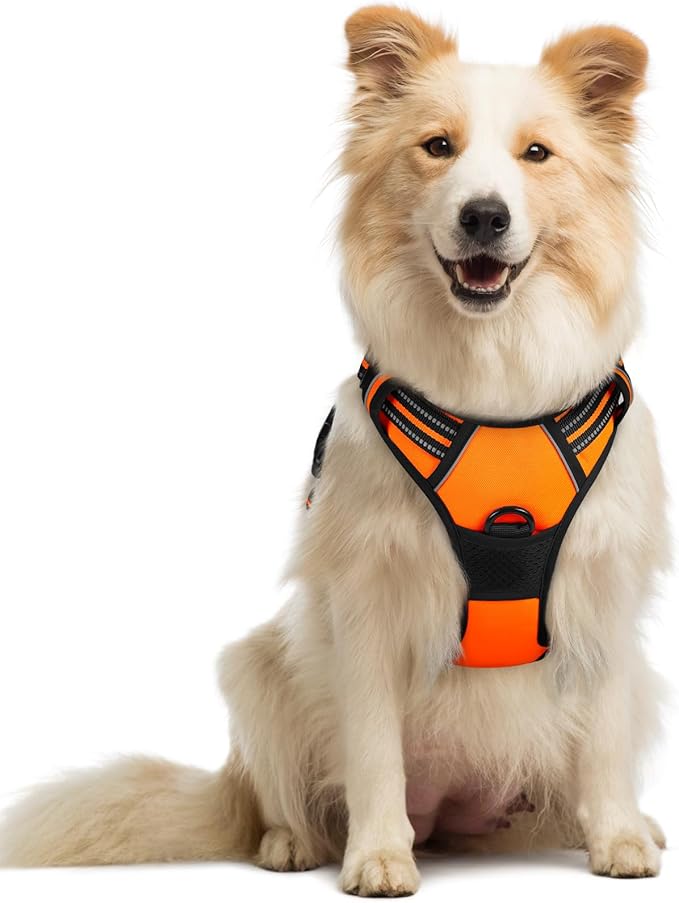 rabbitgoo Dog Harness,No-Pull Pet Harness with 2 Leash Clips,Adjustable Soft Padded Dog Vest,Reflective No-Choke Pet Oxford Vest with Easy Control Handle for Medium Dogs,Orange, M