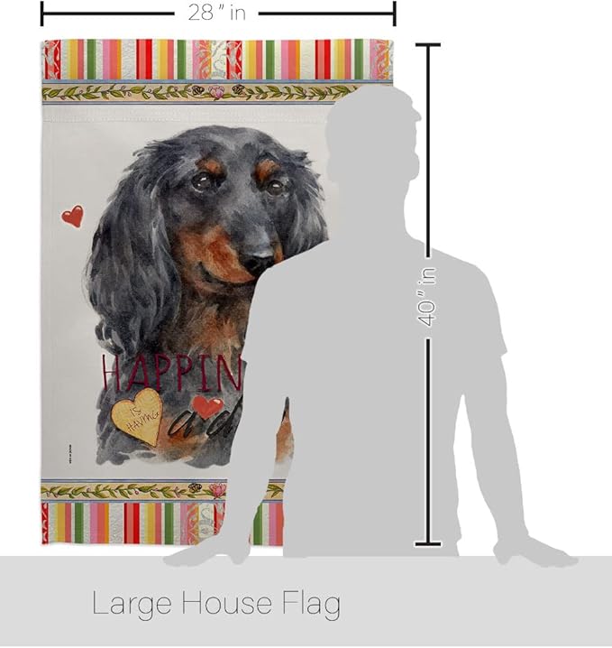 Breeze Decor Blue Long Hair Dachshund Happiness House Flag-Pack Dog Puppy Spoiled Paw Canine Fur Pet Nature Farm Animal Creature Vintage Applique Garden Yard Gift Double-Sided, Made in USA