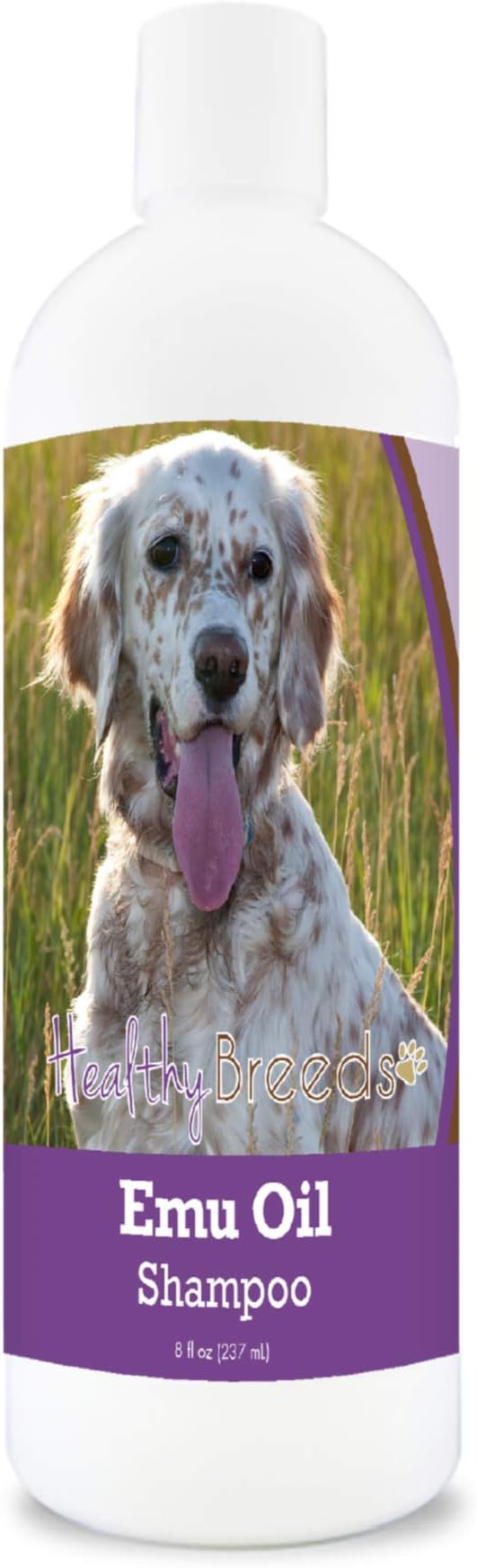 Healthy Breeds English Setter Emu Oil Shampoo - Gentle Cleanser That Provides Soothing Relief of Inflammation While Restoring Moisture Balance - Fruity Scent - 8 oz