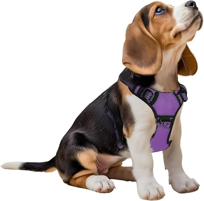Dog Harness,No Pull Pet Harness Adjustable Reflective Pet Harness Easy Control Handle for Small to Large Dogs Soft Padded Puppy Vest (Purple, Small)