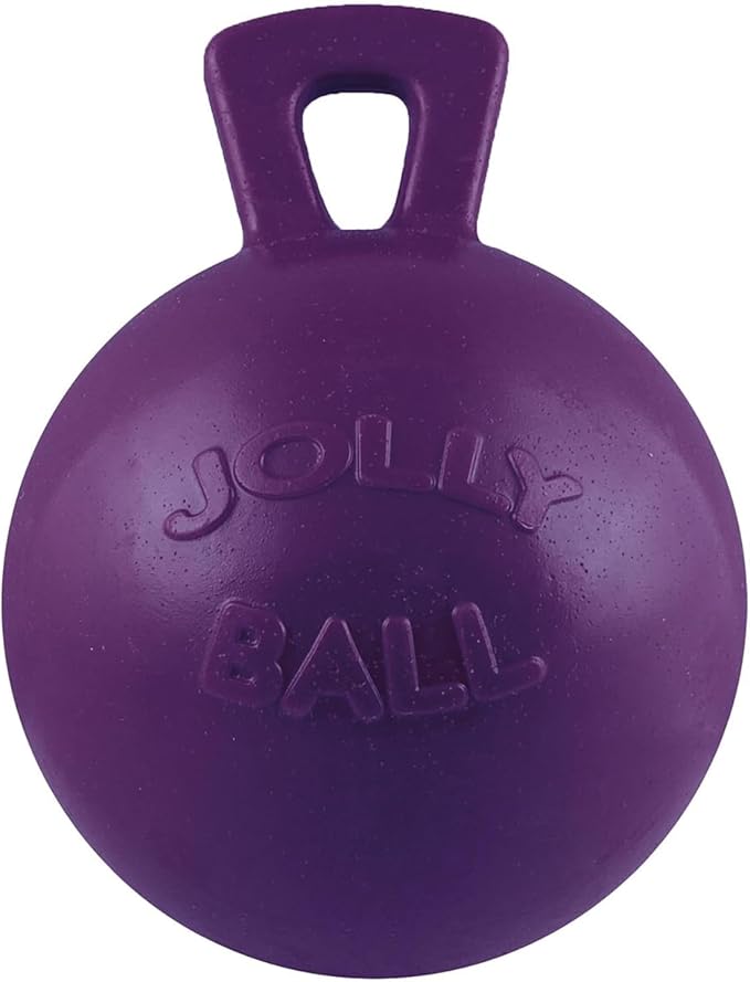 Jolly Pets Tug-n-Toss Heavy Duty Dog Toy Ball with Handle, 4.5 Inches/Small, Purple